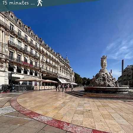 Entier Neuf Avec Balcon Privé - Centre *