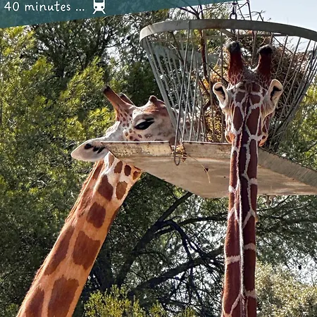 Entier Neuf Avec Balcon Prive - Centre Διαμέρισμα *