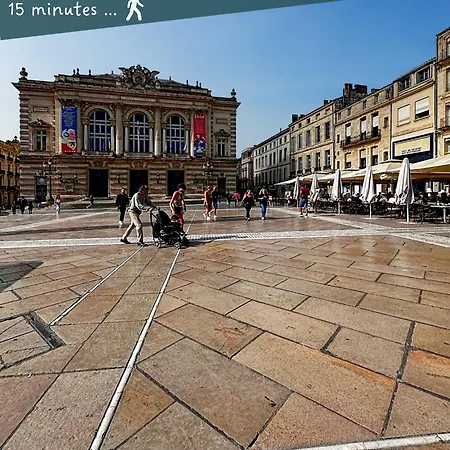 Entier Neuf Avec Balcon Prive - Centre *