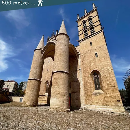 Entier Neuf Avec Balcon Prive - Centre