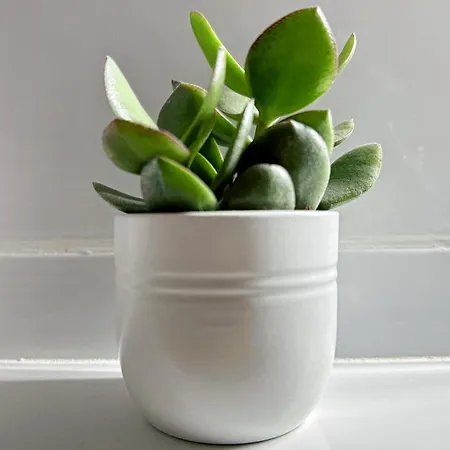 Entier Neuf Avec Balcon Prive - Centre * Μονπελιέ